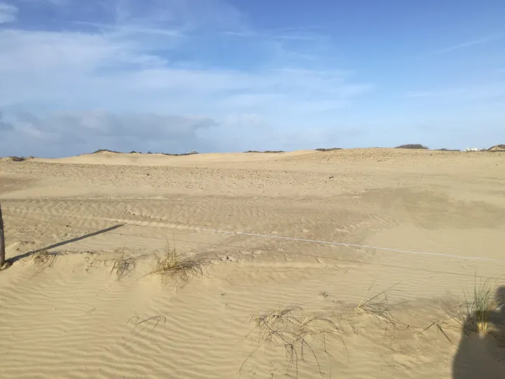 De Panne (België)